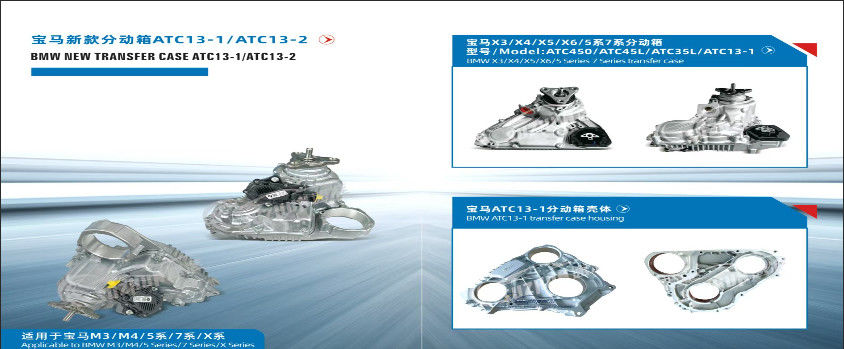 China best Car Oil Seal on sales