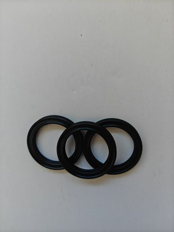 Cayenn Oil Seal